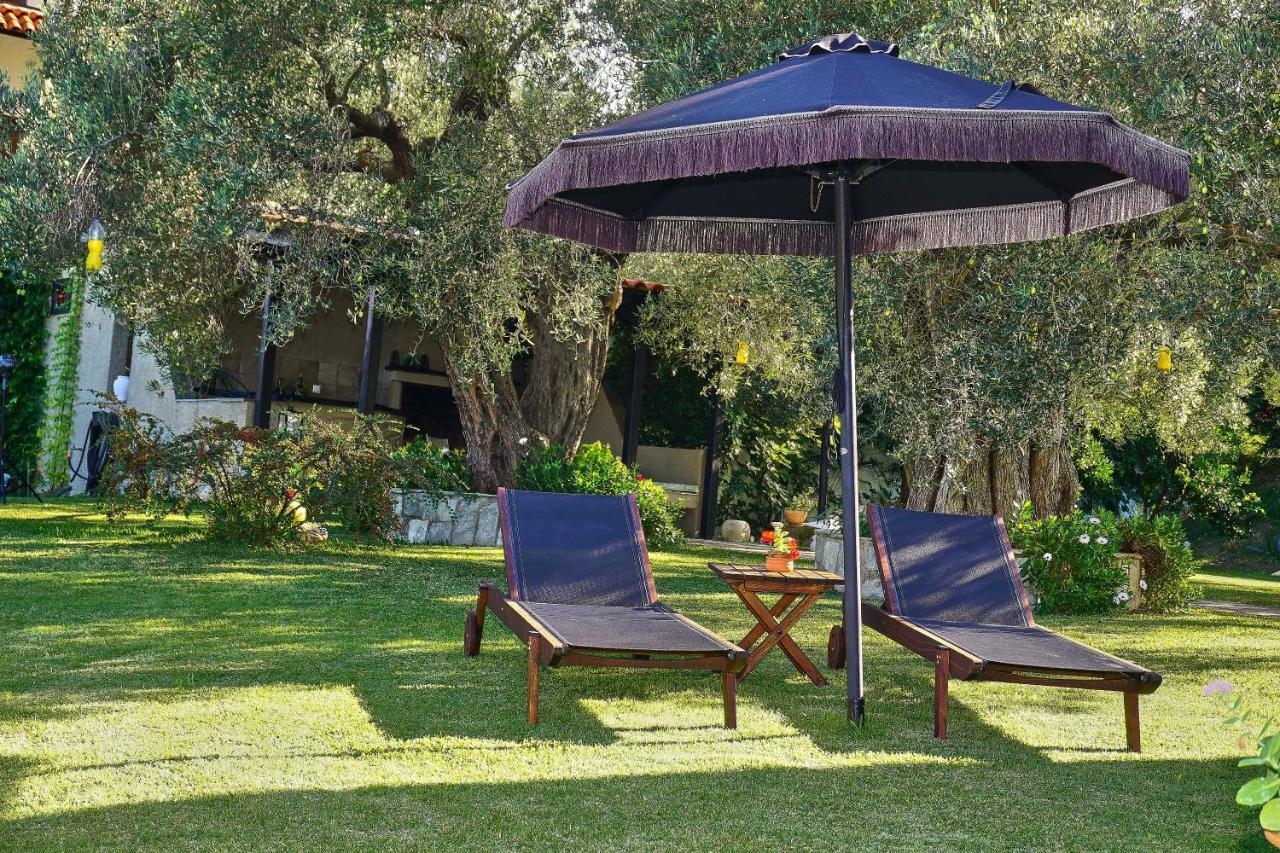 Villa The Cosy Olive أورموس باناجياس المظهر الخارجي الصورة